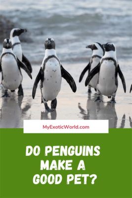 How to Get a Good Deal on a Used Car: Why Penguins Make Great Negotiators