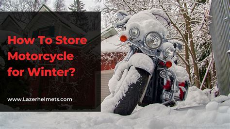 How to Store a Motorcycle for Winter: And Why Your Cat Might Be the Best Mechanic