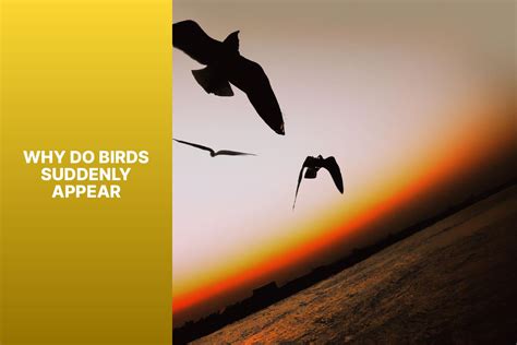 What Causes a Tire to Shred: And Why Do Birds Suddenly Appear Every Time You're Near?