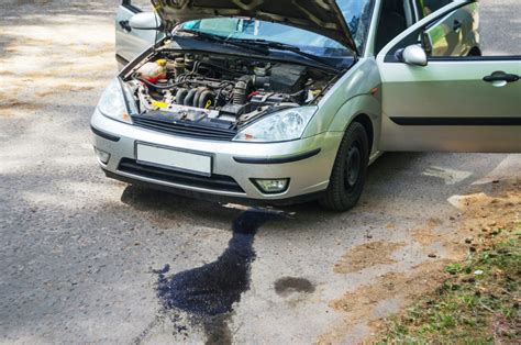 What is Pink Fluid Leaking from Car: A Symphony of Mechanical Mysteries and Everyday Absurdities